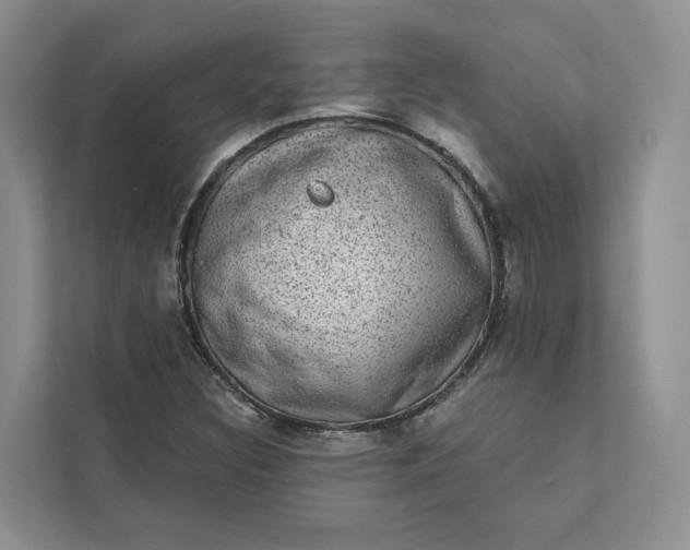 X0000111871308200908061246