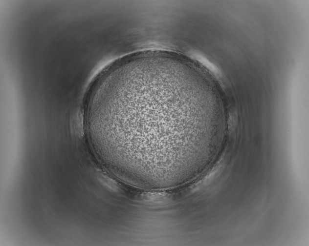 X0000111871310200908061246