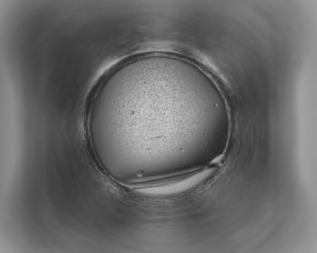 X0000111871312200908061246