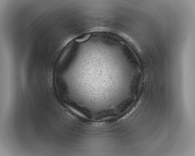 X0000111871313200908061246