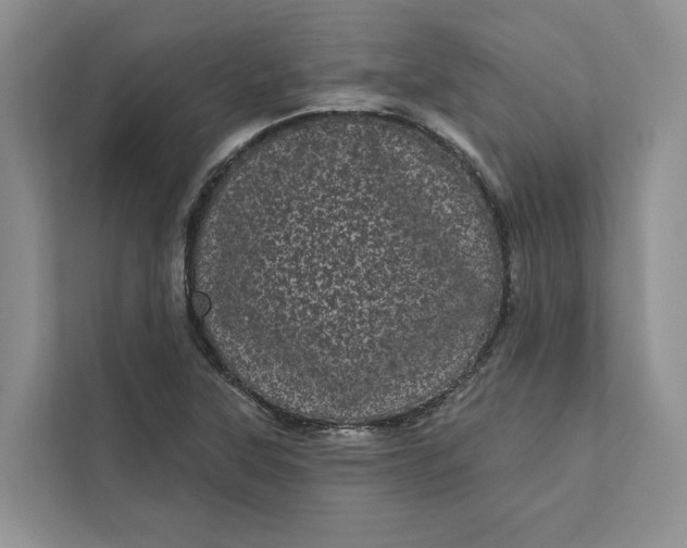 X0000111871315200908061246