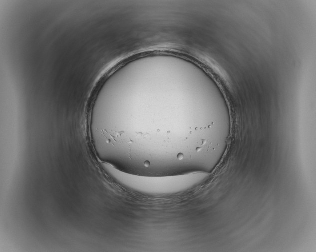 X0000111871316200908061246