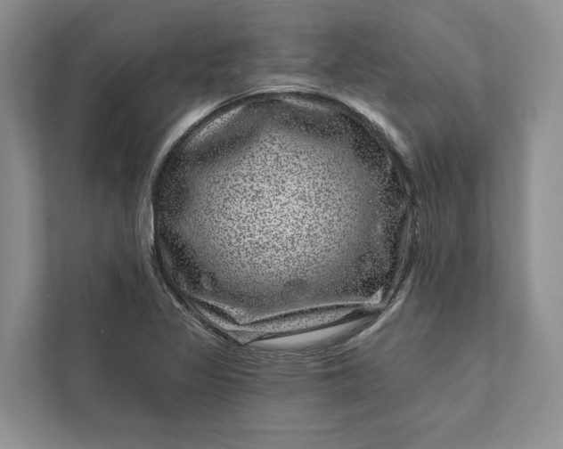 X0000111871317200908061246