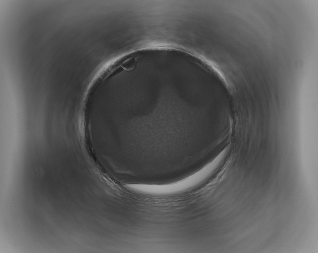 X0000111871319200908061246