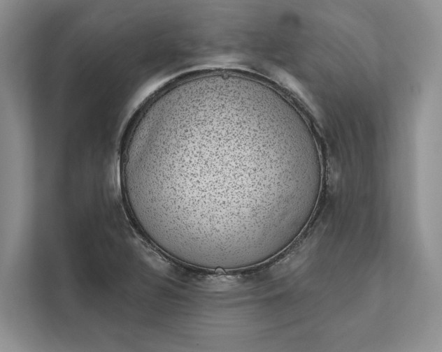 X0000111871320200908061246