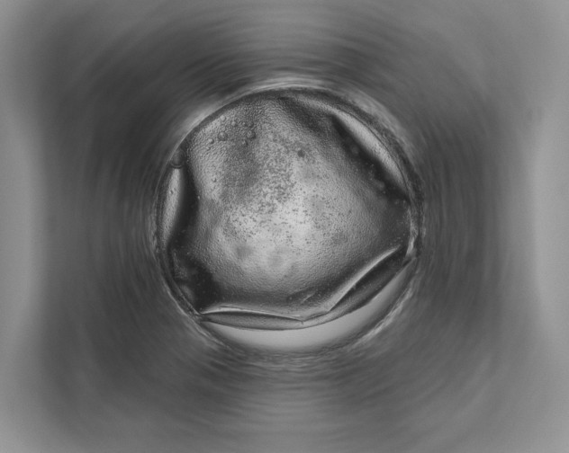 X0000111871321200908061246