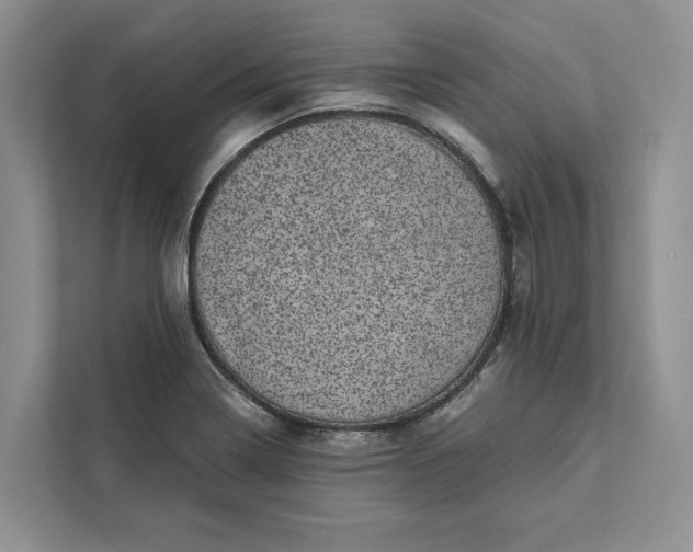 X0000111871322200908061246