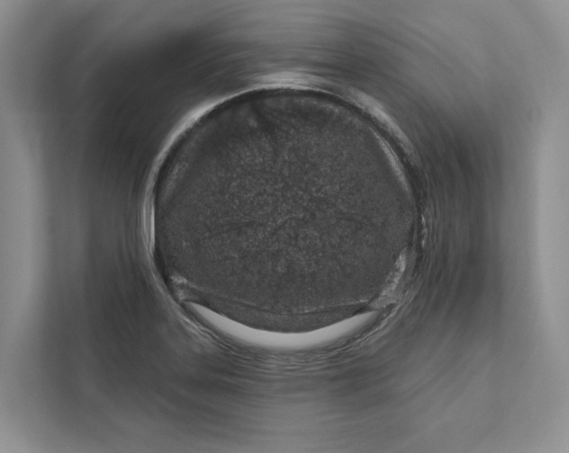 X0000111871323200908061246