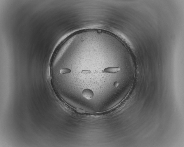 X0000111871324200908061246