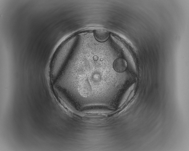 X0000111871325200908061246