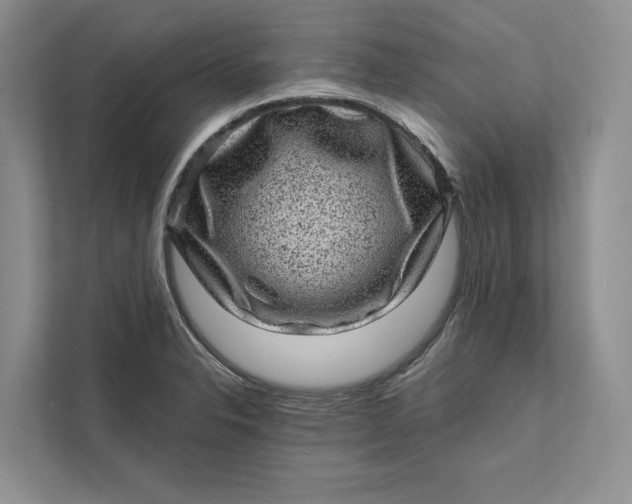 X0000111871326200908061246