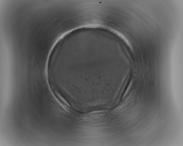 X0000111871327200908061246