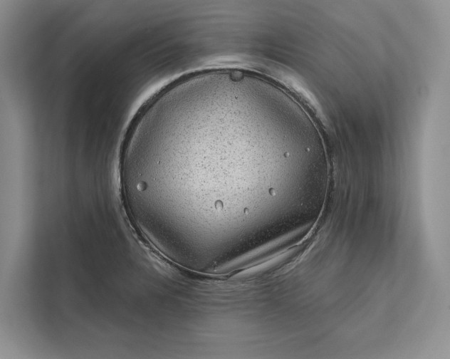 X0000111871328200908061246