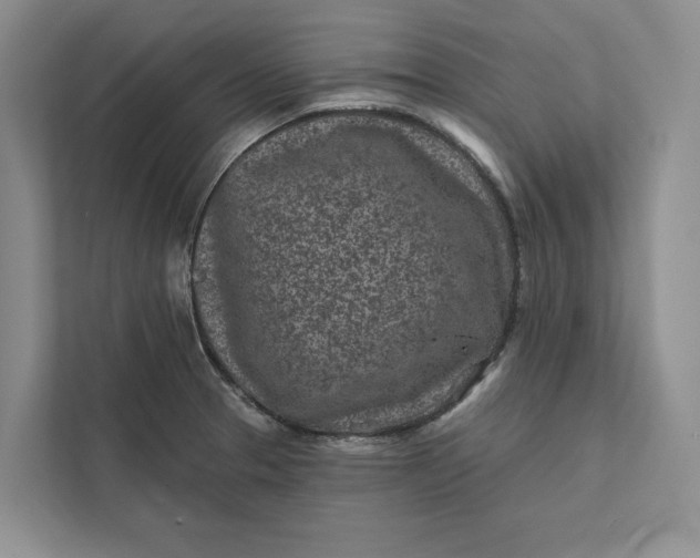 X0000111871329200908061246