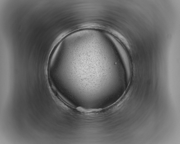 X0000111871330200908061246