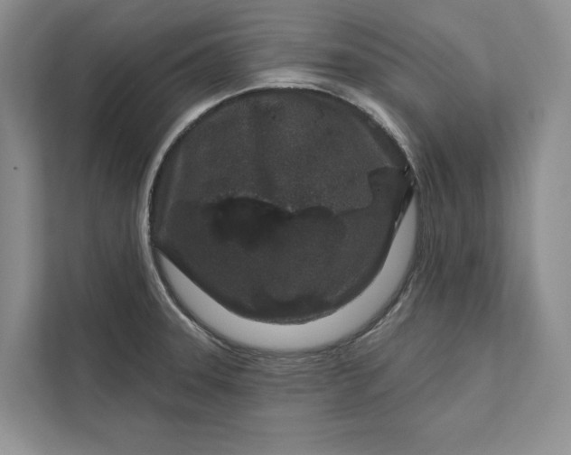 X0000111871331200908061246