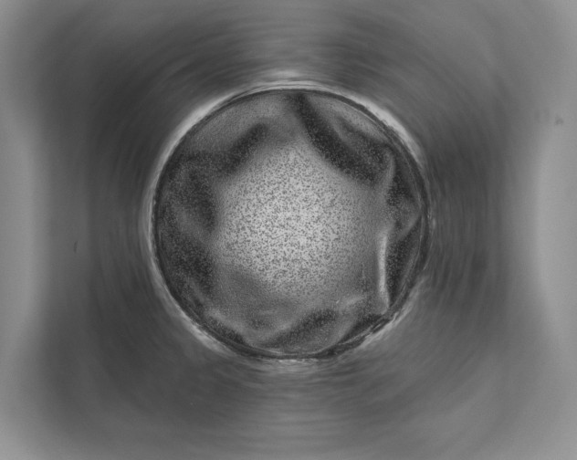 X0000111871333200908061246