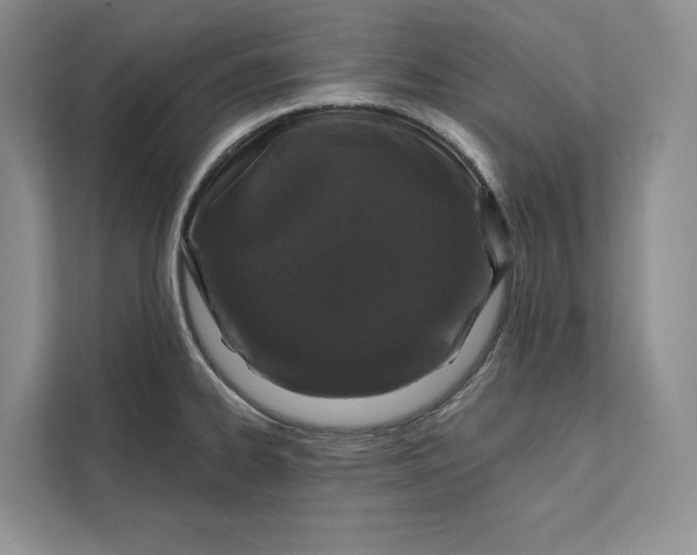 X0000111871334200908061246