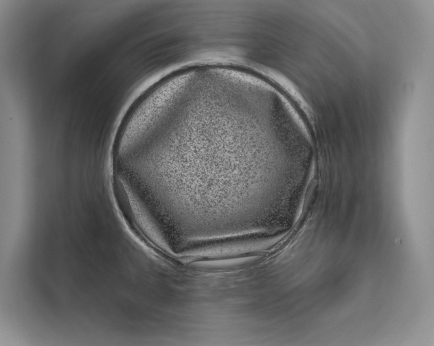 X0000111871335200908061246