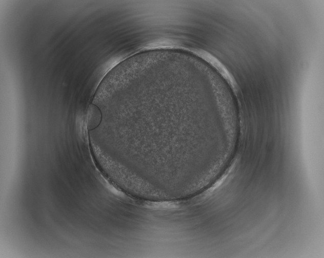 X0000111871337200908061246