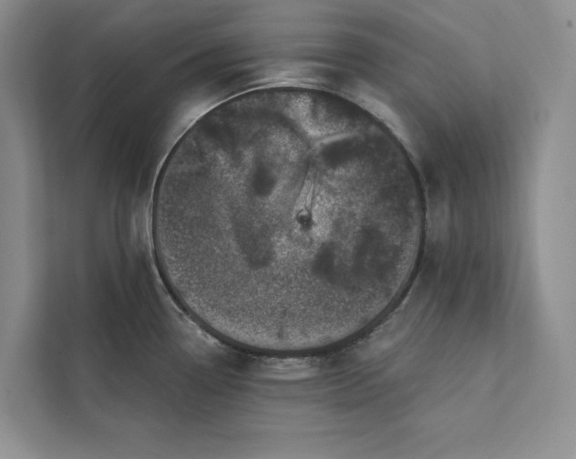 X0000111871338200908061246