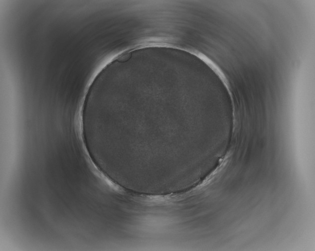 X0000111871341200908061246