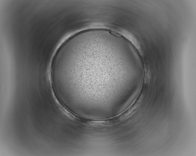 X0000111871342200908061246