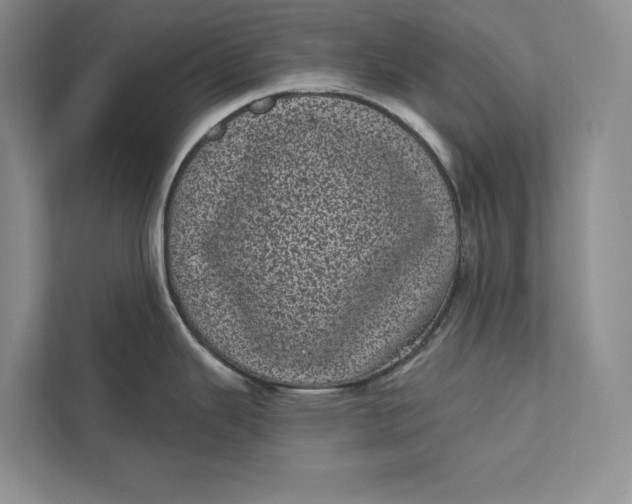 X0000111871343200908061246