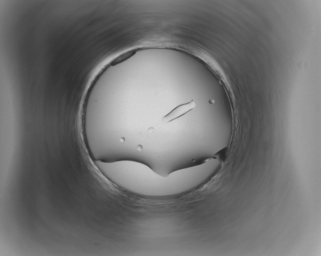 X0000111871344200908061246