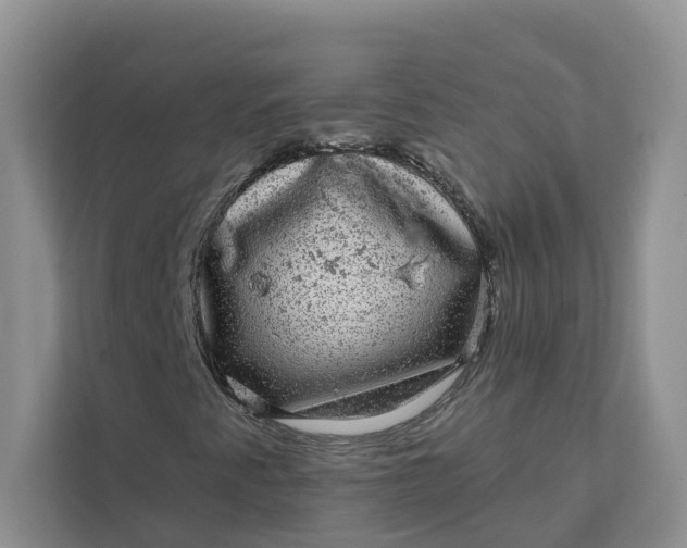 X0000111871345200908061246