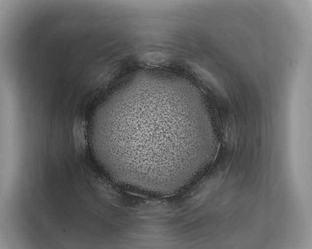 X0000111871346200908061246