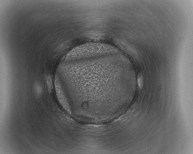 X0000111871347200908061246