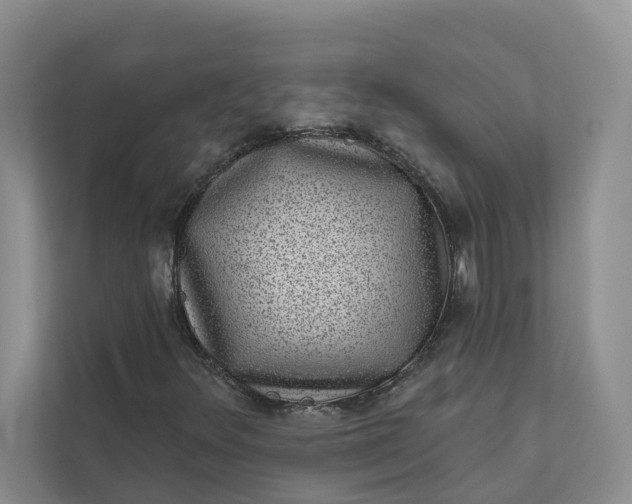 X0000111871348200908061246