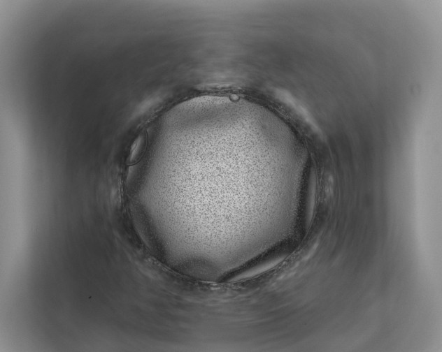 X0000111871350200908061246