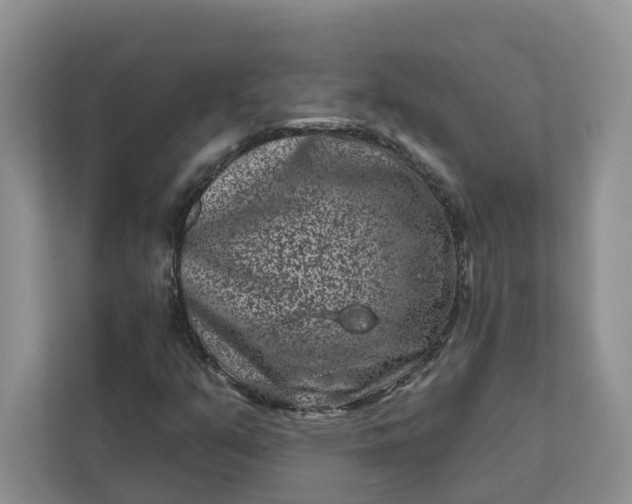 X0000111871351200908061246