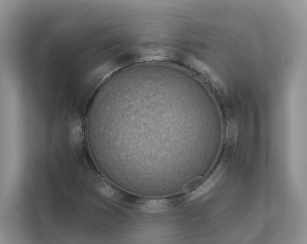 X0000111871353200908061245