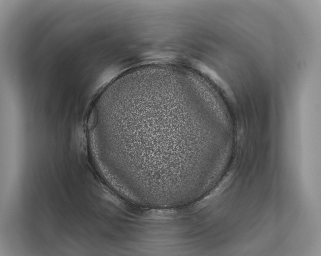 X0000111871354200908061245