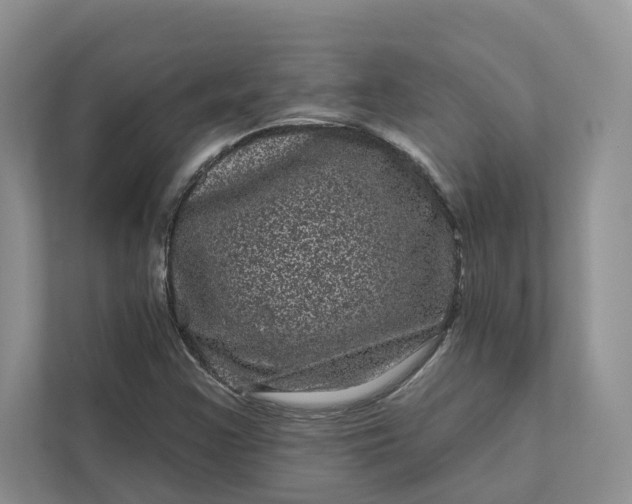 X0000111871355200908061245