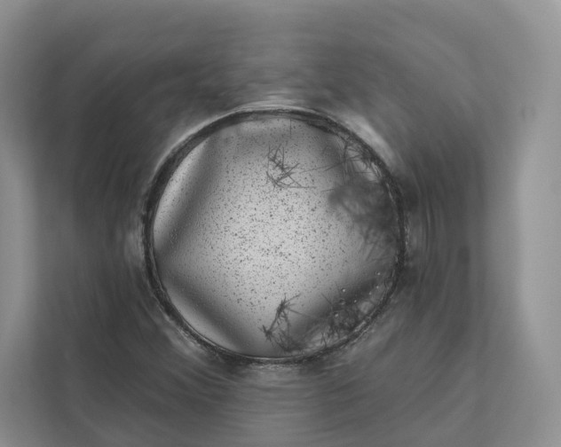 X0000111871356200908061245