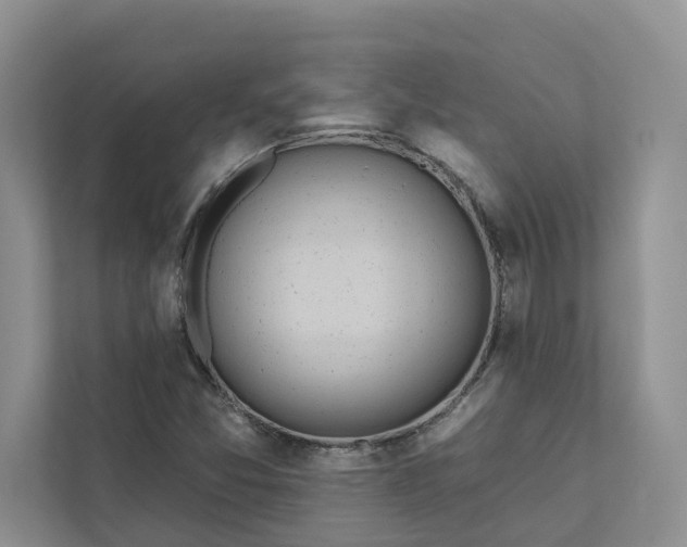 X0000111871357200908061245