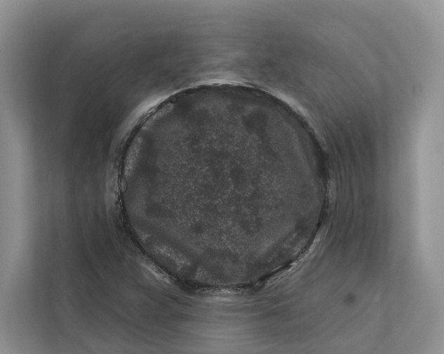 X0000111871359200908061245