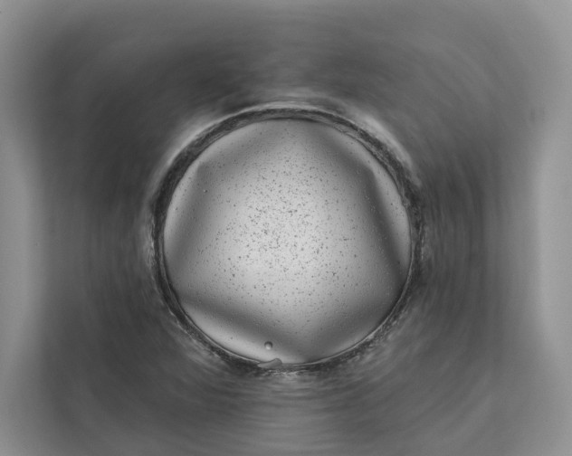 X0000111871360200908061245