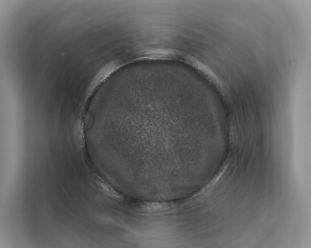 X0000111871362200908061245