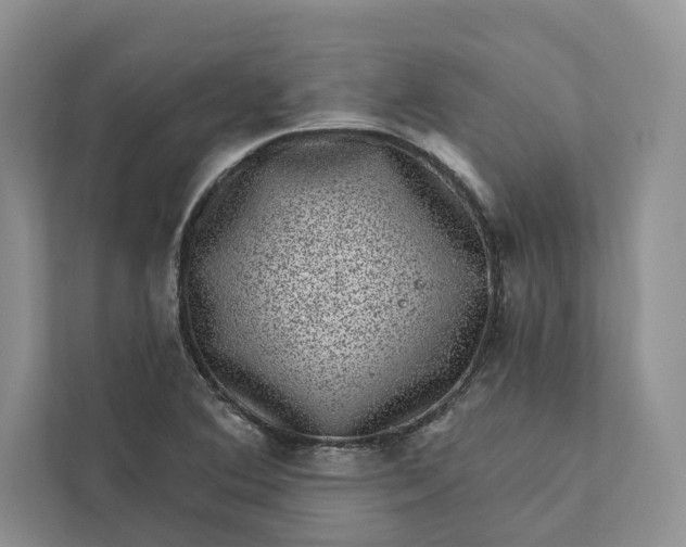 X0000111871364200908061245