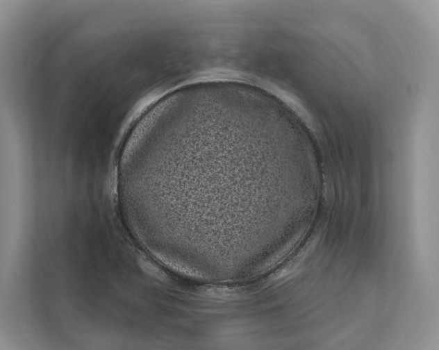 X0000111871366200908061245