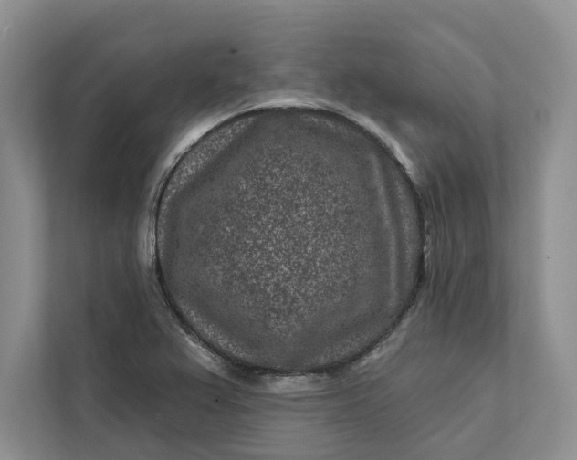 X0000111871367200908061245