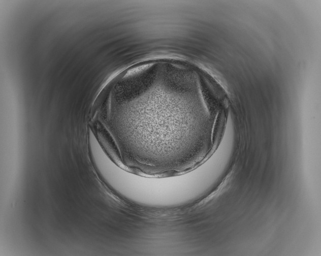 X0000111871369200908061245