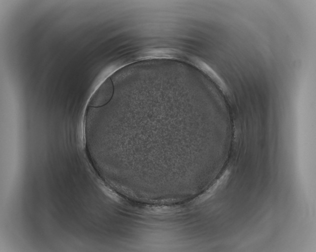 X0000111871370200908061245