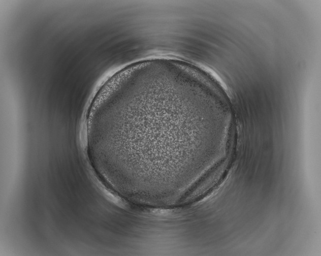 X0000111871371200908061245