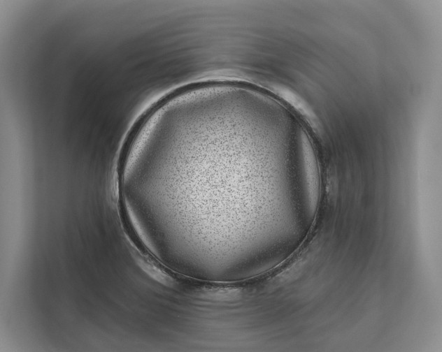 X0000111871372200908061245